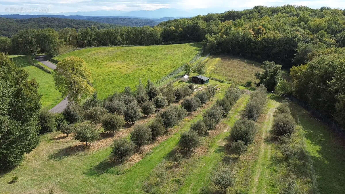 Maison à VILLECOMTAL-SUR-ARROS