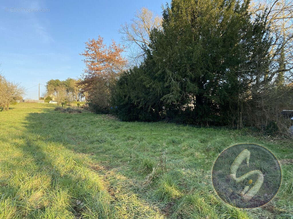 Terrain à LA GACILLY