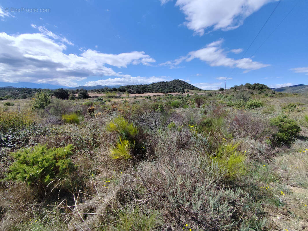 Terrain à MONTALBA-LE-CHATEAU