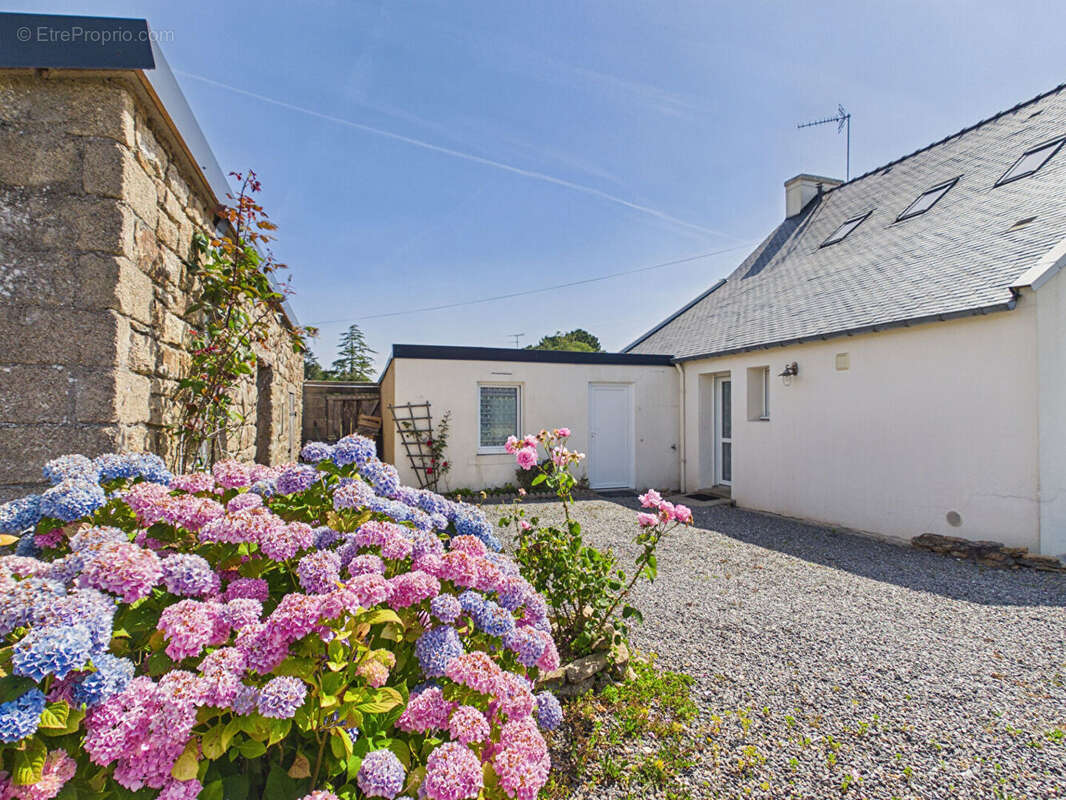 Maison à NEVEZ