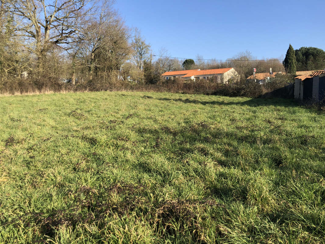 Terrain à LA ROCHE-SUR-YON