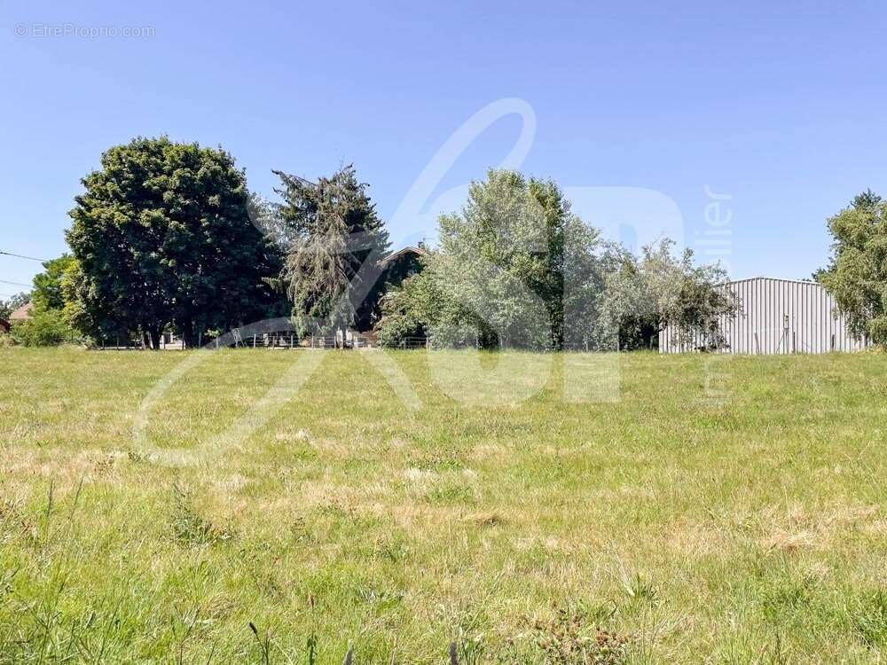 Terrain à bâtir (Lot 1) - Terrain à LONGECHENAL