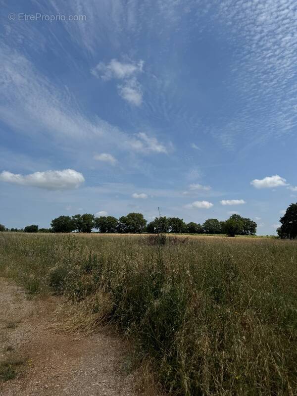 Terrain à VERARGUES