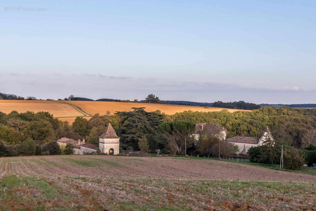 Maison à Beauville  - photo 27