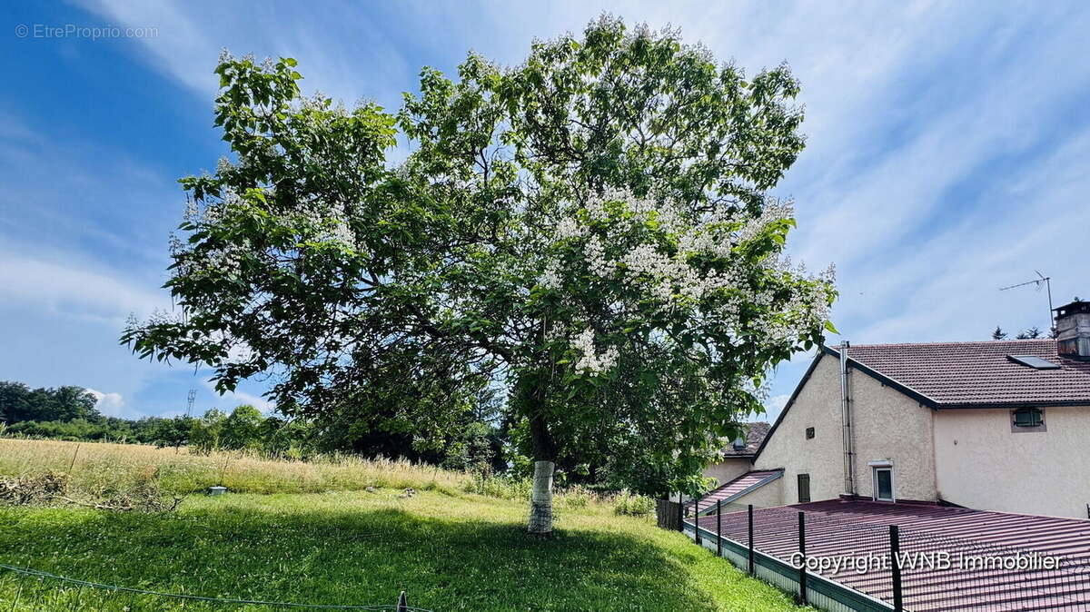 Maison 82 m² à Le Clerjus  - photo 5