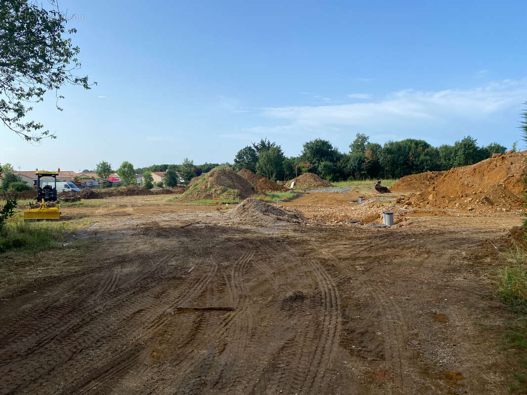 Terrain à SAINT-HILAIRE-LA-FORET