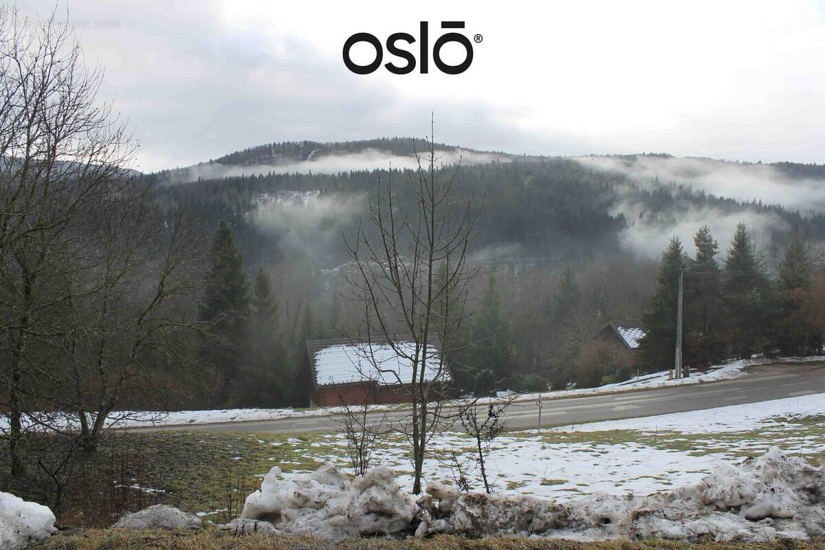 Vue depuis le haut du terrain - Terrain à MORBIER