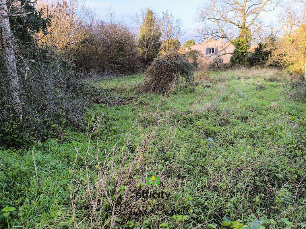 Terrain à TALMONT-SAINT-HILAIRE