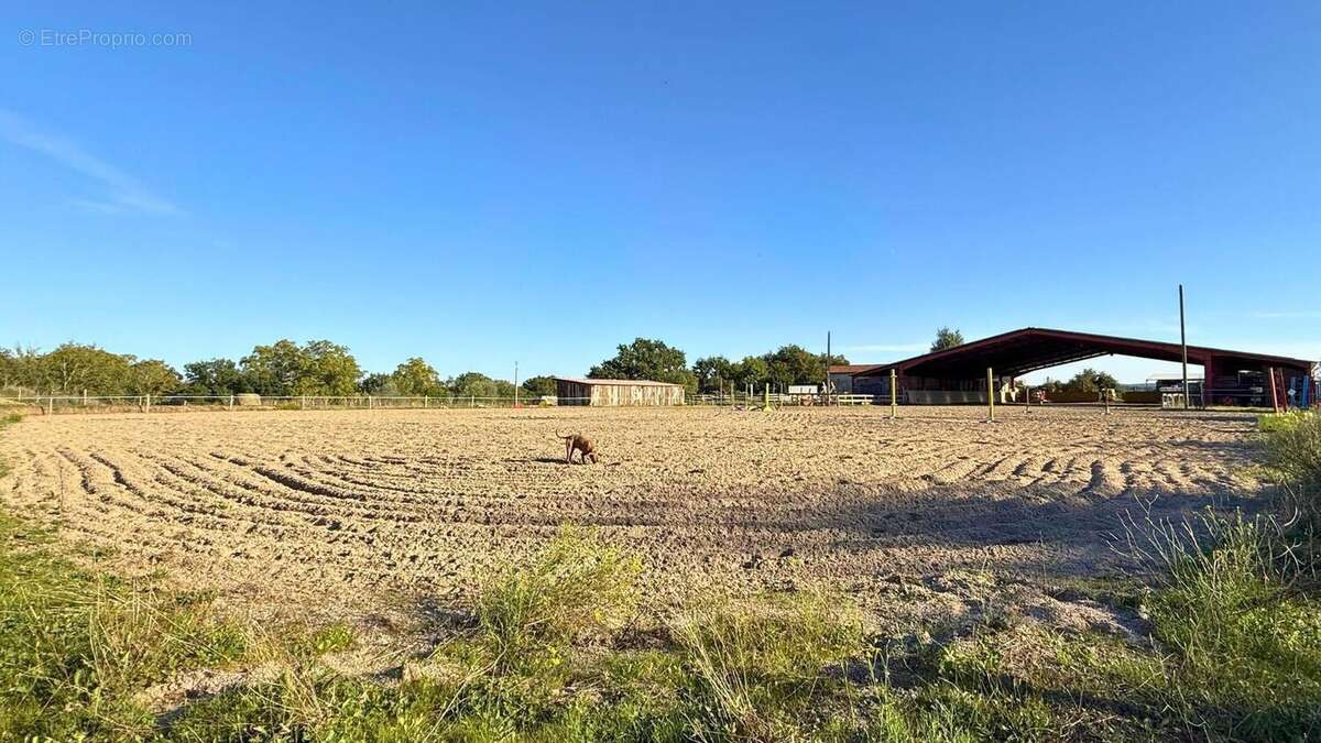 Photo 6 - Maison à GAILLAC