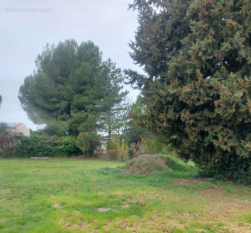 Terrain à CHEVAL-BLANC