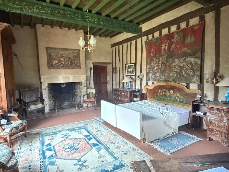 MARCIAC(32): ancienne SEIGNEURIE avec BEAU CHATEAU XIV sur 3,5ha, cachée, au bout du chemin, sans voisin, en campagne, 500m2 hab - photo 3