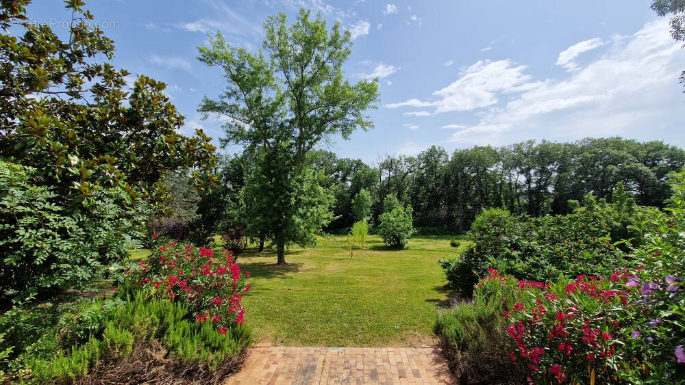 Appartement à MONTRABE