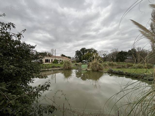 Maison à FOURCES