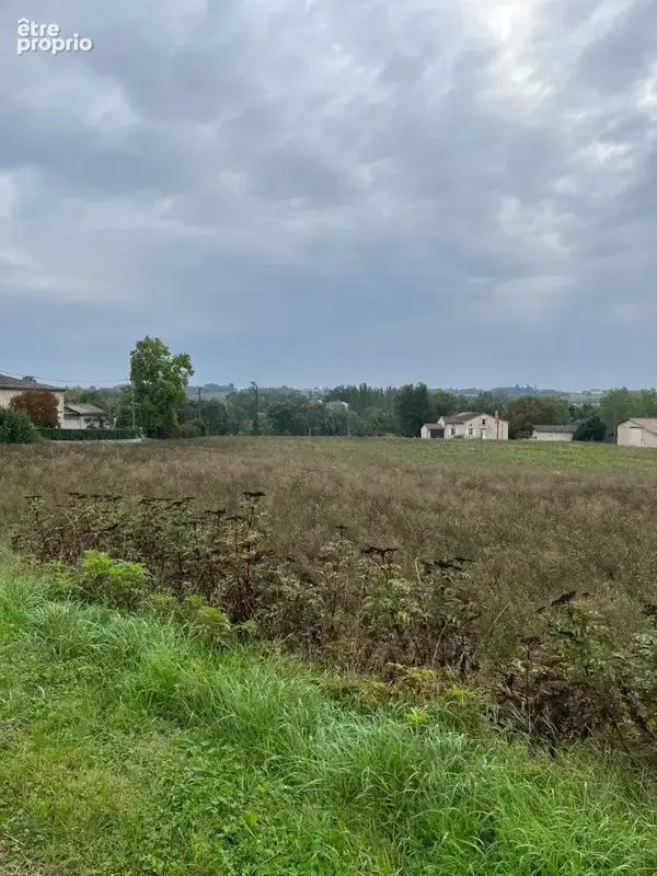 Terrain 1 003 m² à vendre à Poulan-Pouzols (81120) - photo 3