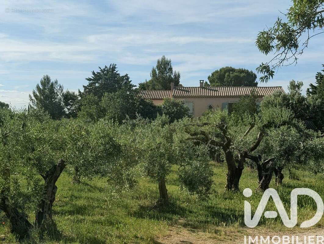 Photo 5 - Maison à SAINT-REMY-DE-PROVENCE