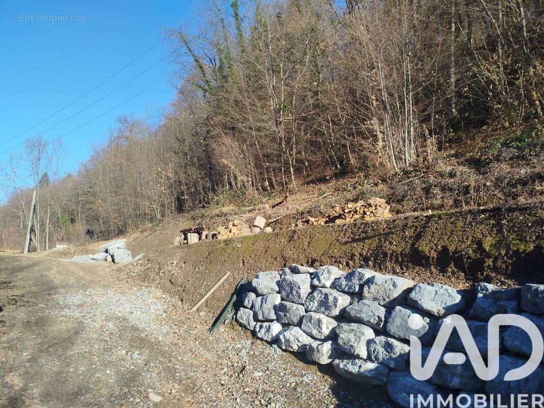 Photo 1 - Terrain à CESARCHES