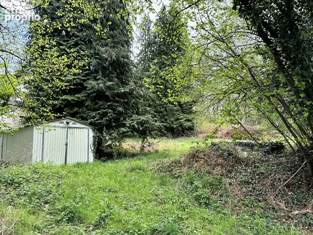 Ancienne Maison en Pierre Isolée, Grand Jardin de 2354m2 plus Bois pas loin de 3129m2 - photo 11