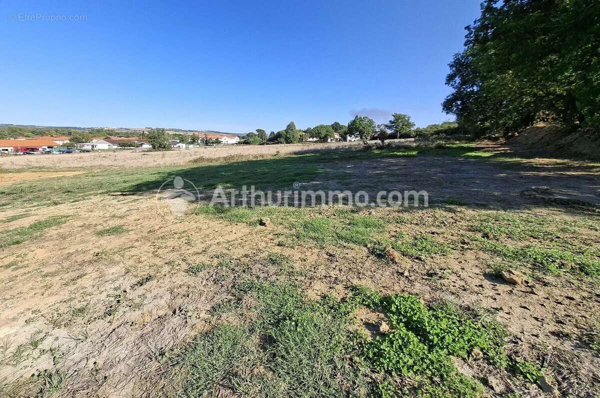 Terrain à GRAGNAGUE