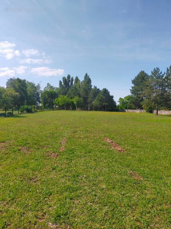 Terrain à BOUTIERS-SAINT-TROJAN