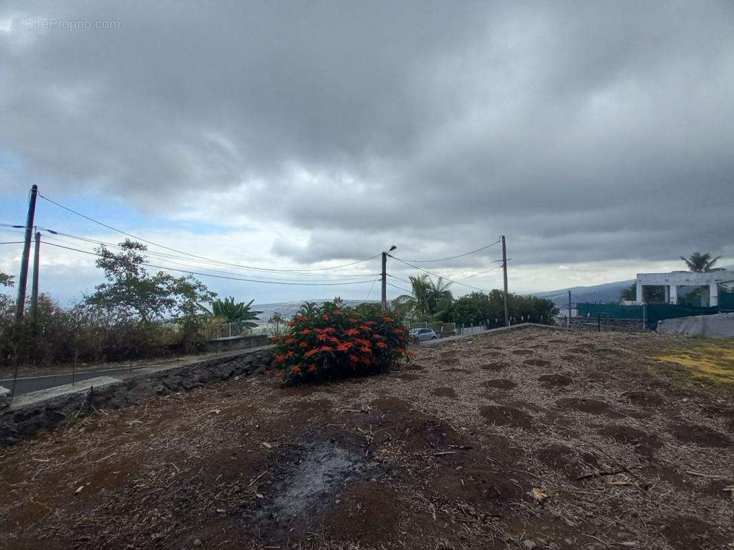 Terrain à SAINT-PAUL