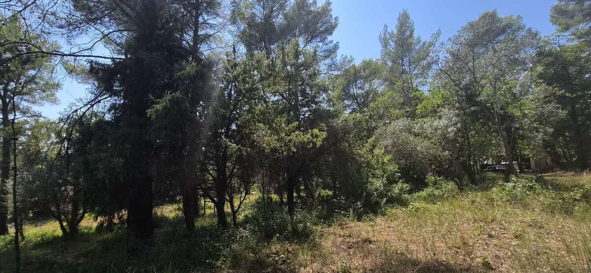 Terrain de 7000m² avec cabanon et 1100m² de - photo 5