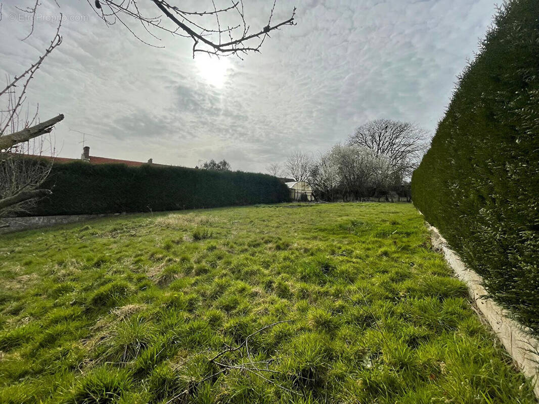 Terrain à CROUY-SUR-OURCQ