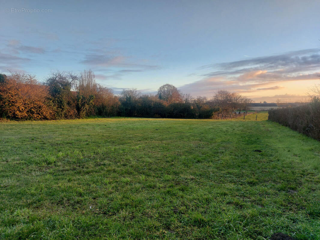 Terrain à LUCHE-PRINGE