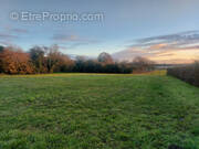 Terrain à LUCHE-PRINGE