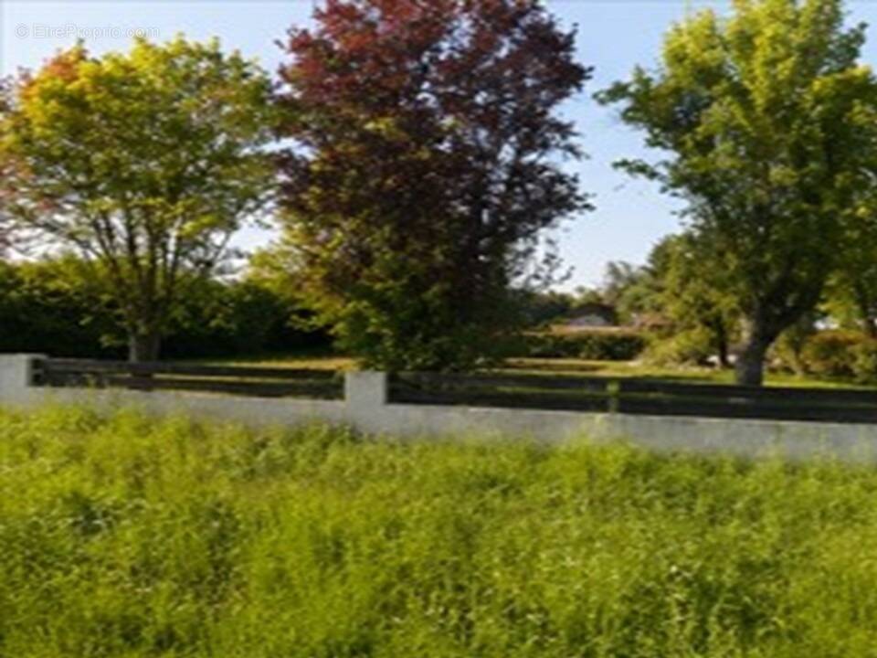 Terrain à PERISSAC