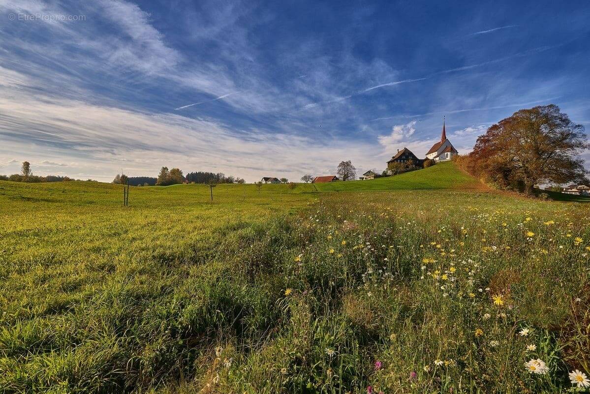 Terrain à LE POIRE-SUR-VIE