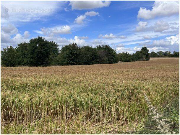 Terrain à GOND-PONTOUVRE