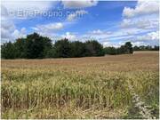 Terrain à GOND-PONTOUVRE