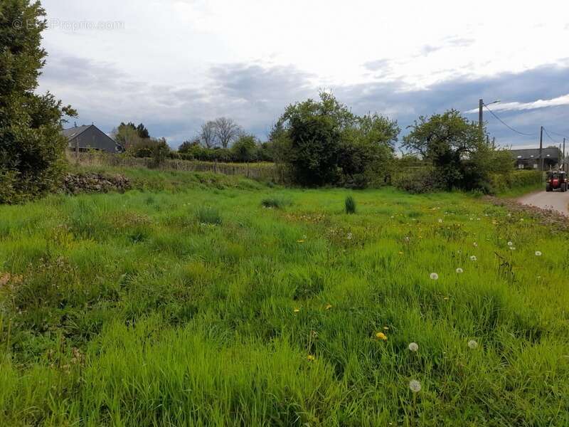 Maison à vendre 4 pièces SAVILLY (21) - DEPENDANCES - TERRAIN 935 m 2 - photo 29