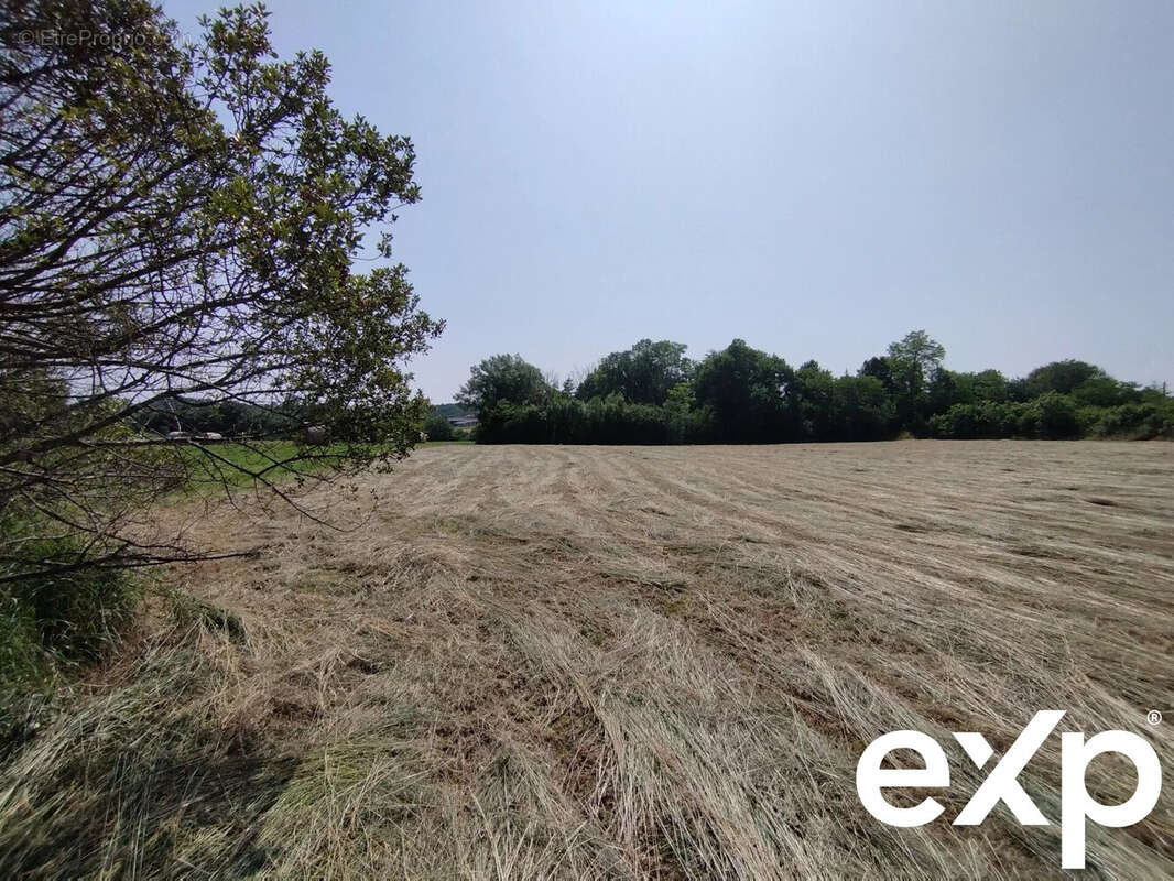 Terrain à CASTELNAU-MONTRATIER