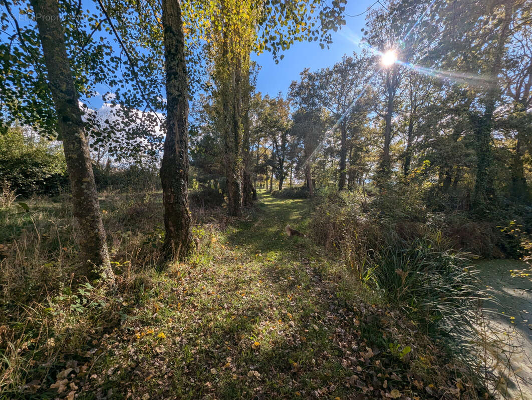 Maison à SAINT-MAURICE-SUR-FESSARD