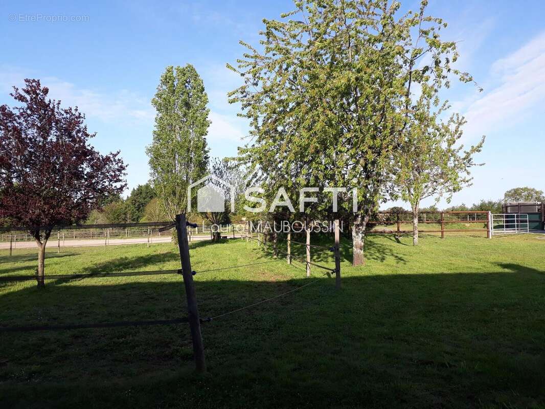 Photo 9 - Maison à GRAND-AUVERNE