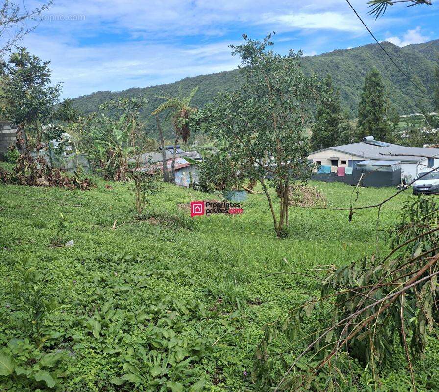 Terrain à SAINT-LOUIS