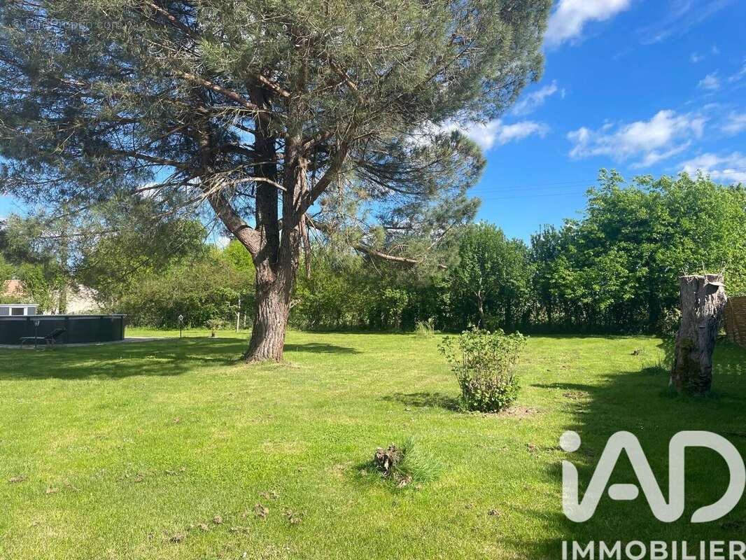 Photo 3 - Maison à MONTAUBAN