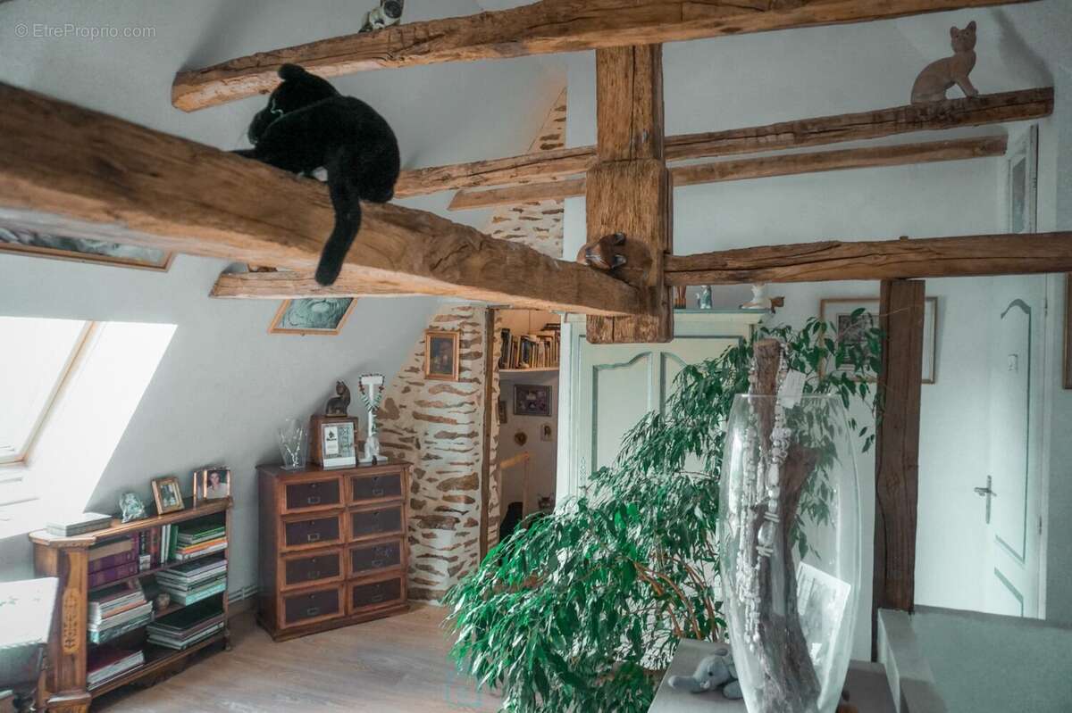 Charmante maison en pierre du XVIIe siècle située au coeur du paisible et pittoresque Périgord vert. - photo 14