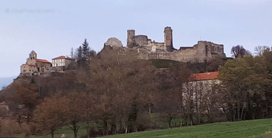 Terrain à MONTMORIN