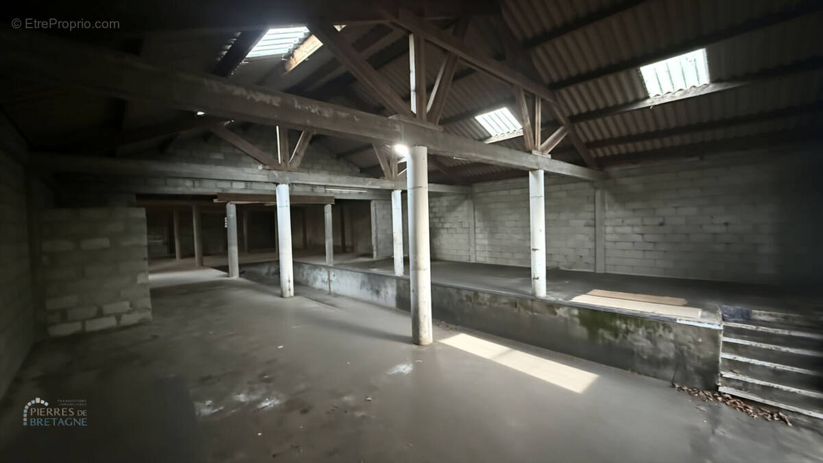 Commerce à SAINT-RENAN