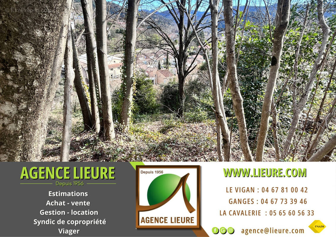 Terrain à LE VIGAN