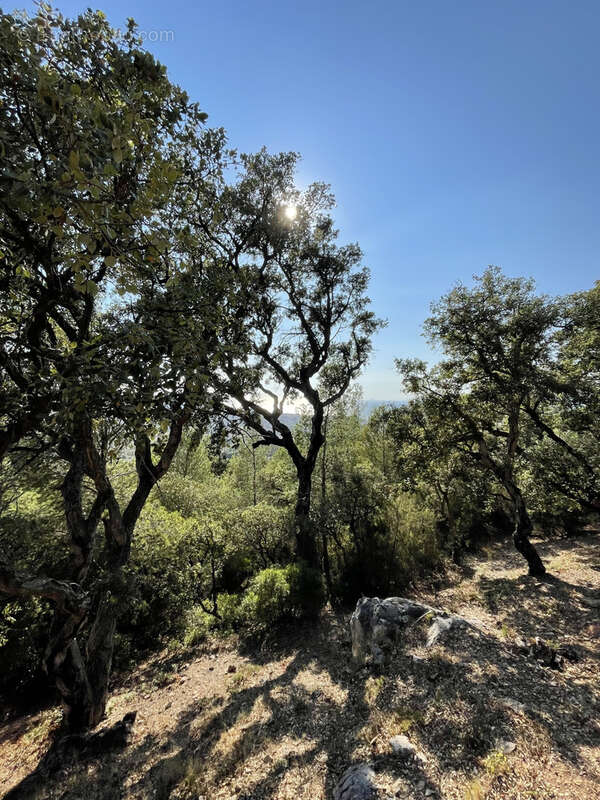 Terrain à SIX-FOURS-LES-PLAGES