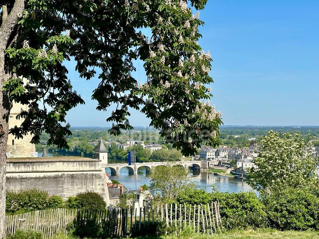 Propriete d'exception à vendre à SAUMUR (49400)  Panorama d'exception sur le château et la Loire - 328m² - 2278m²-piscine - photo 3