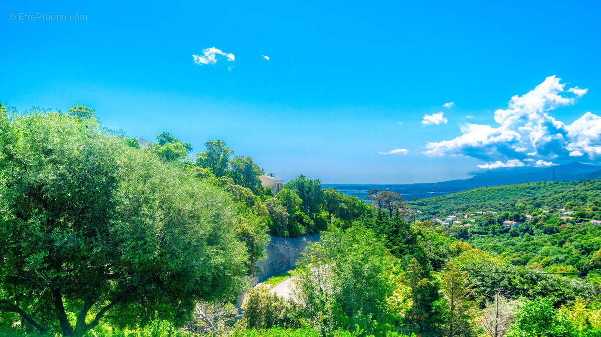 Terrain à BASTIA