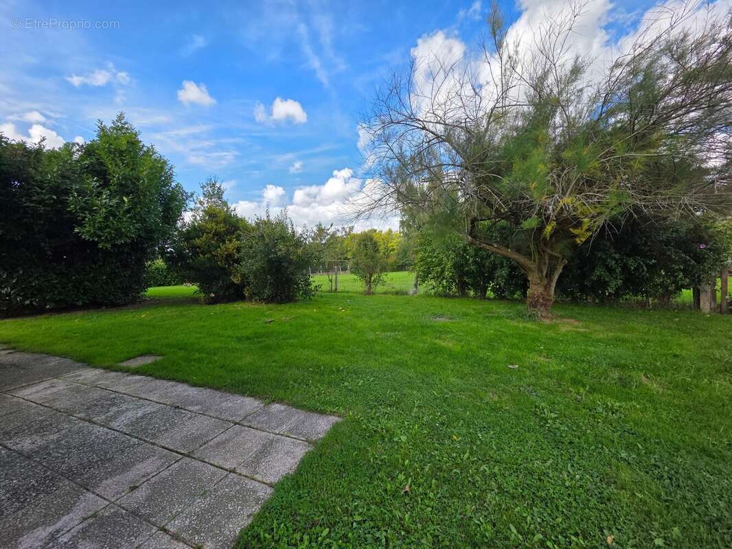 Maison à SAINT-ETIENNE-EN-BRESSE