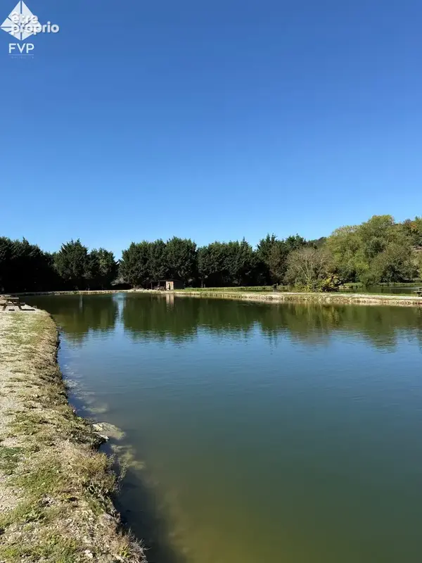 A vendre pisciculture, etangs de peche - photo 6