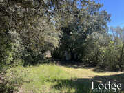 Terrain à POURRIERES