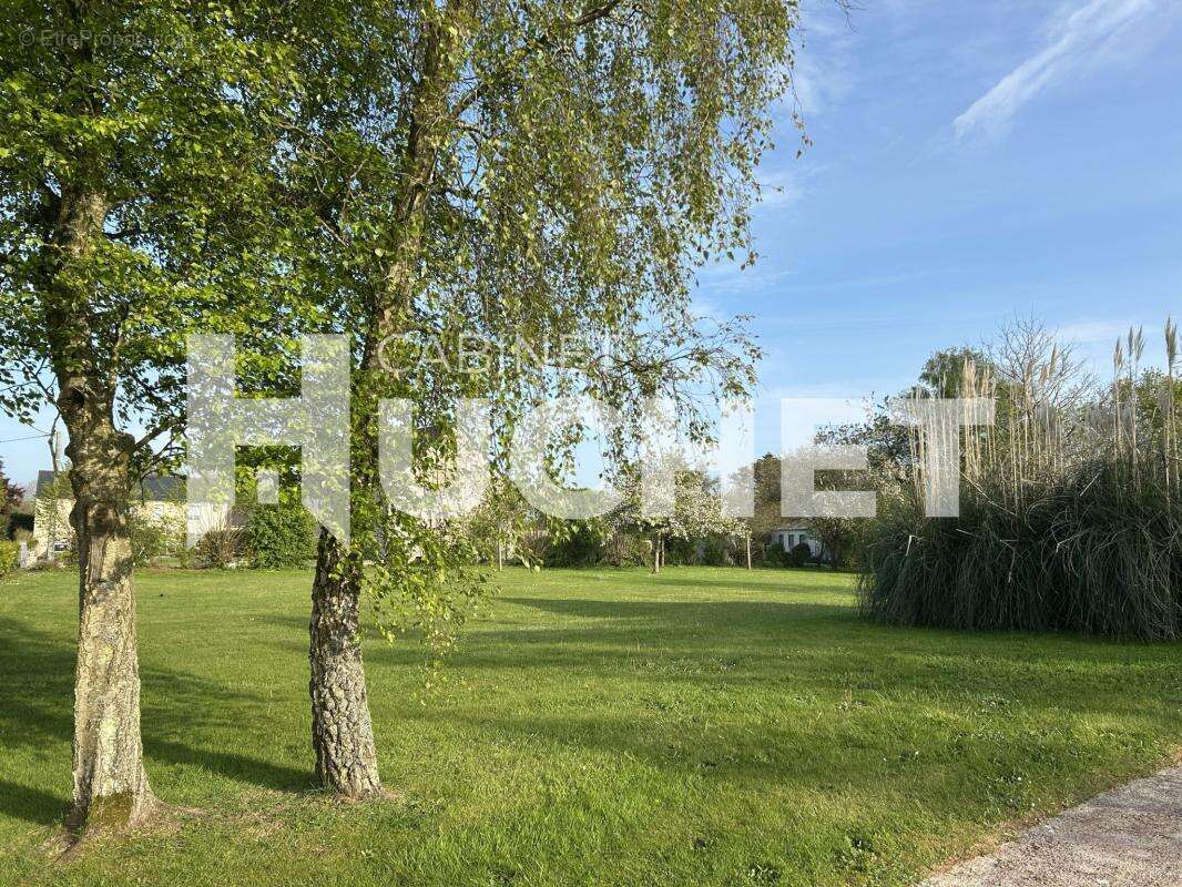 Maison à AMFREVILLE