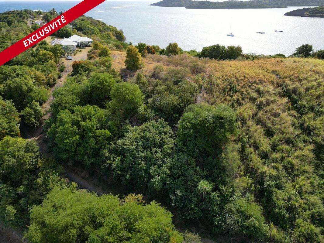 Terrain à LE VAUCLIN